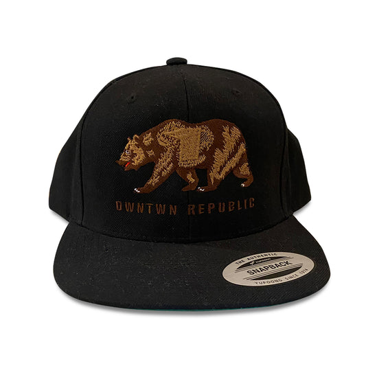 Dwntwn Republic Snapback