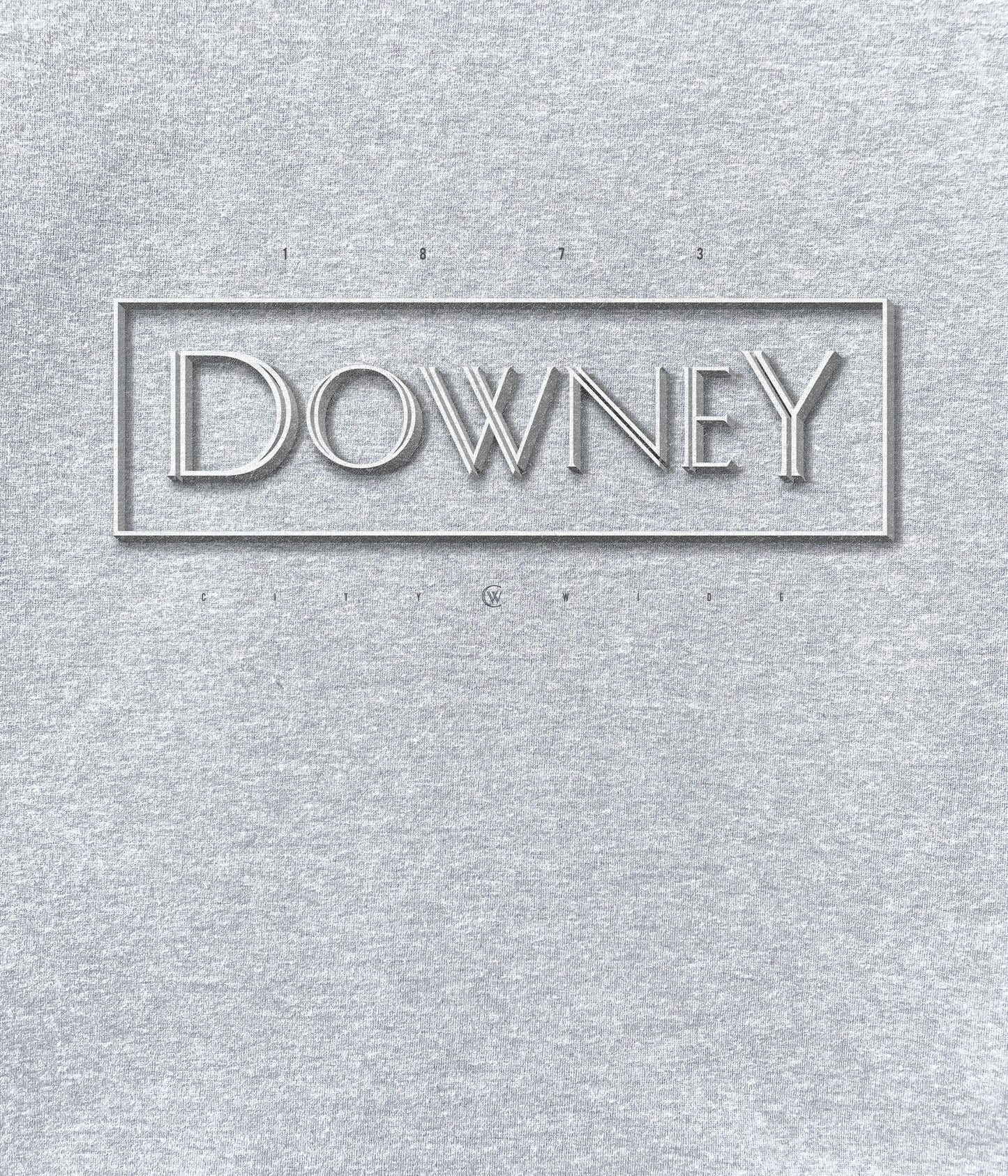 Downey Chiseled Hoody
