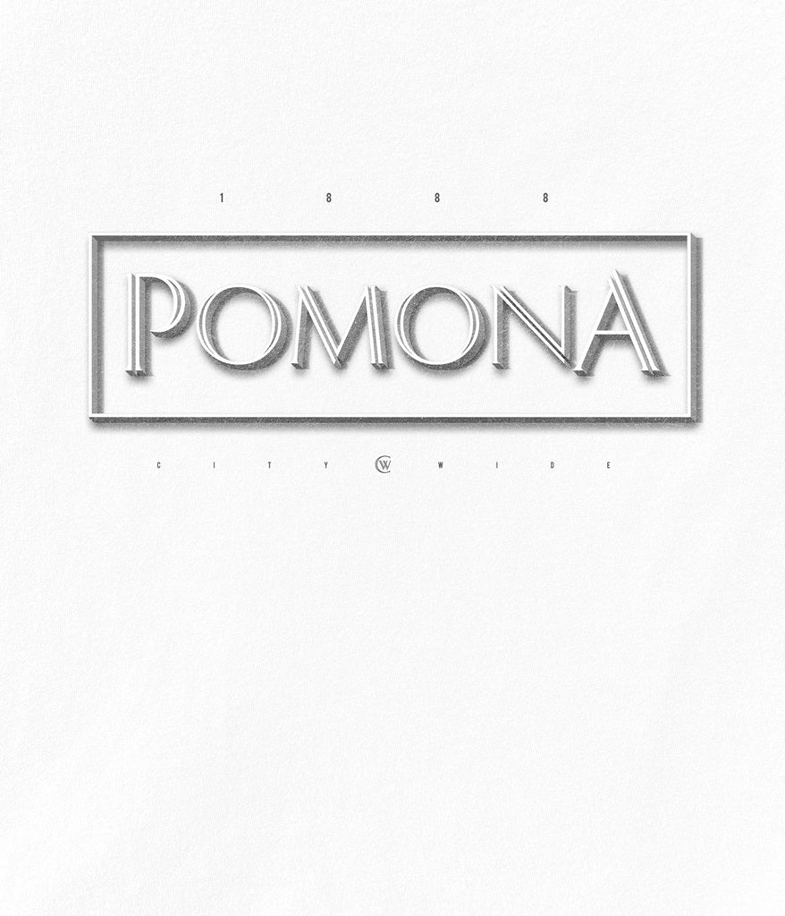 Pomona Chisled Long Sleeve Tee