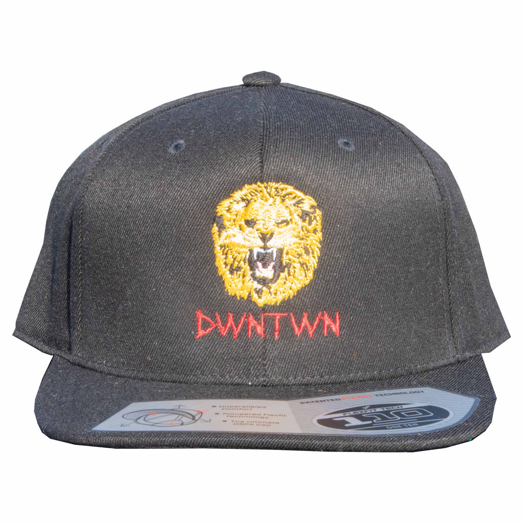 Be A Lion Embroidered Snapback